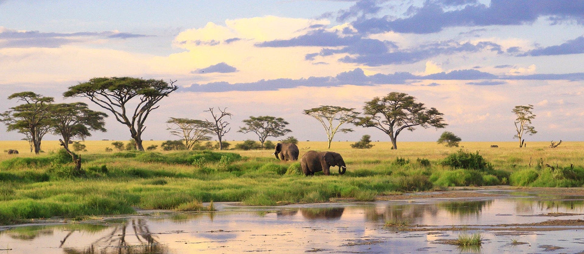 Serengeti, Ngorongoro und Tarangire