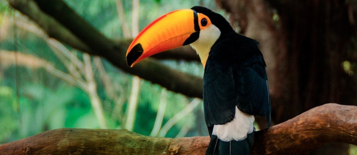 Costa Rica, das komplette Erlebnis