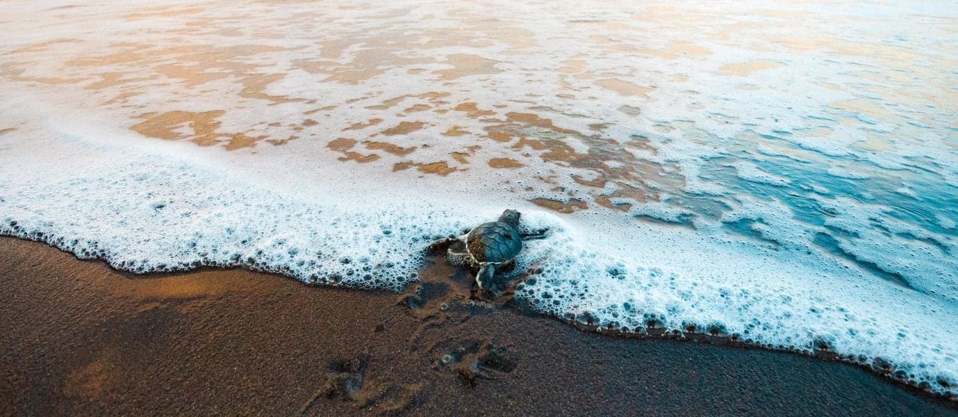 Costa Rica 360º: nature & adventure