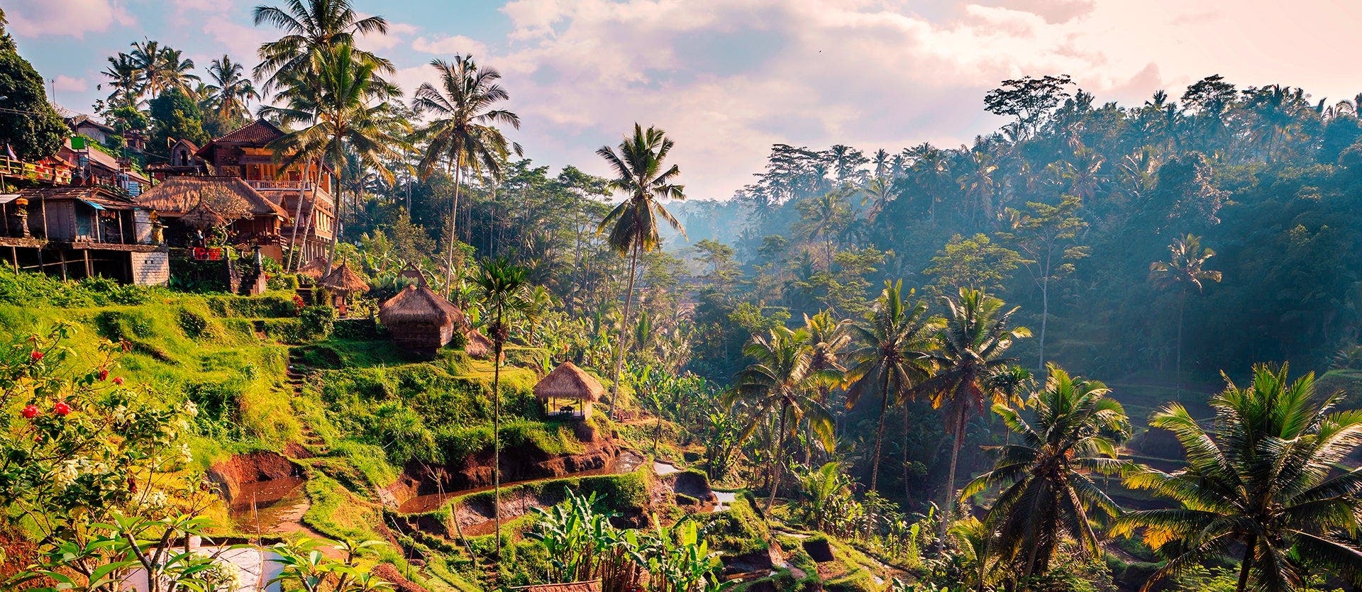 Two worlds, one journey: Japan & Bali