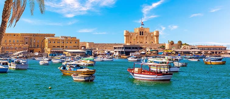 What to see in Égypte Alexandrie