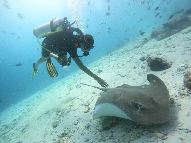 ¡Maravilloso viaje!