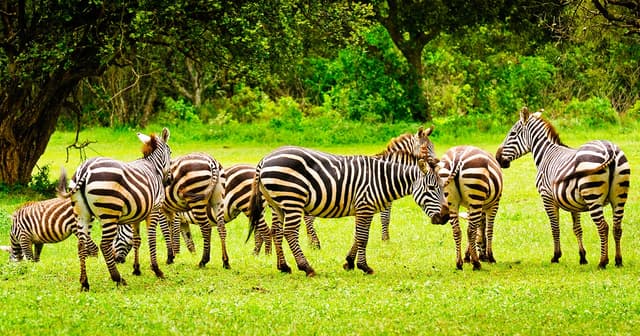 This was a great trip!