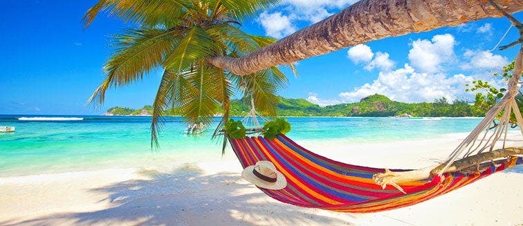 Qué comprar en Costa Rica